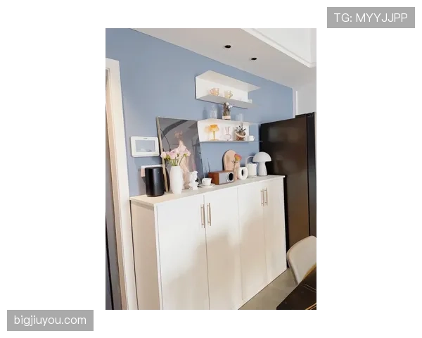 刷到石智勇家里那张照片——沙发像酒店，鞋柜像博物馆，我的月薪在角落瑟瑟发抖