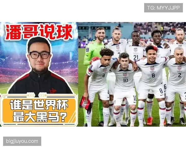 世界杯F组黑马与热门球队对比